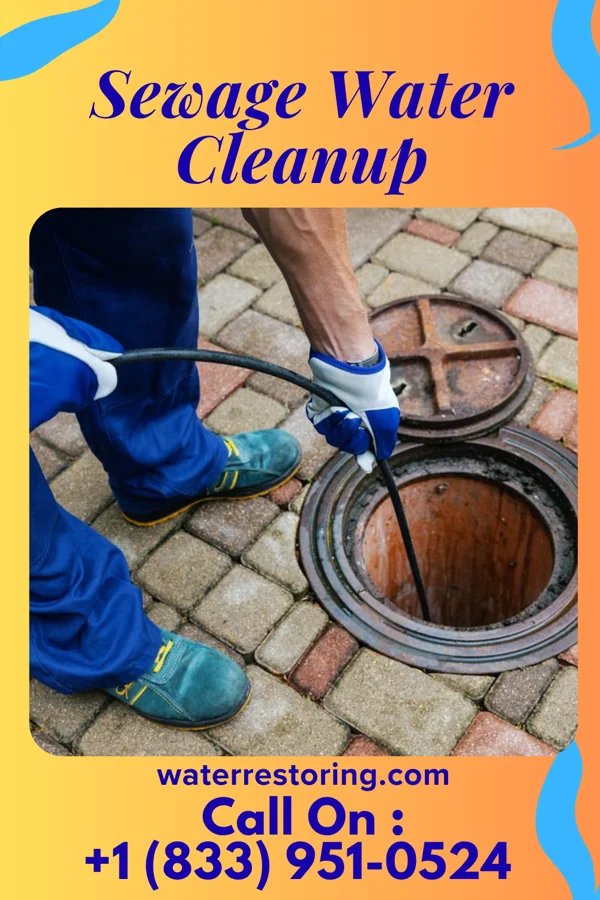 Sewage Water Cleanup in La Boca, NM