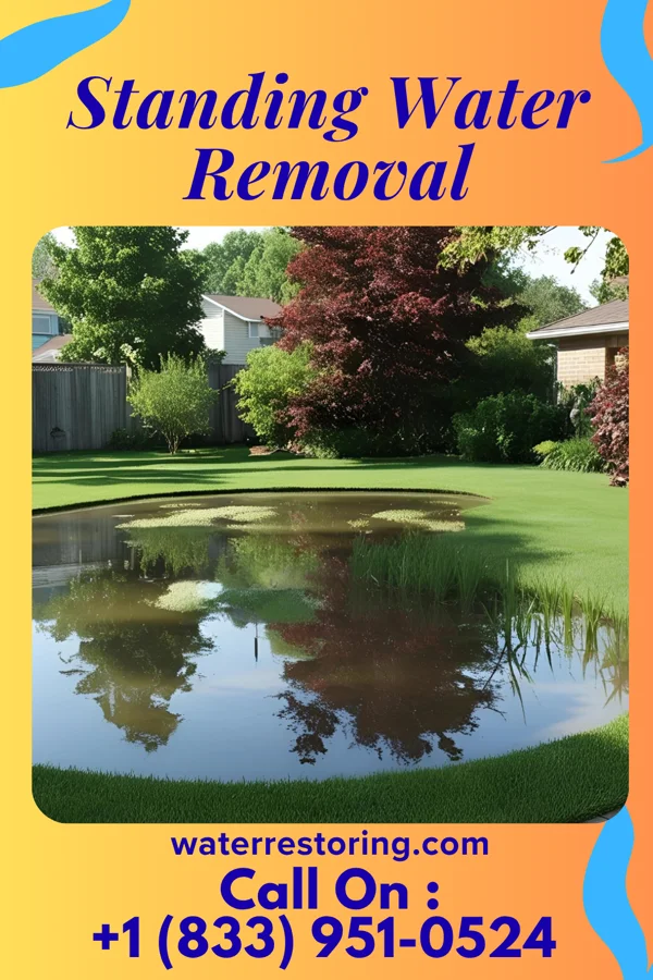 Standing Water Removal in La Boca, NM